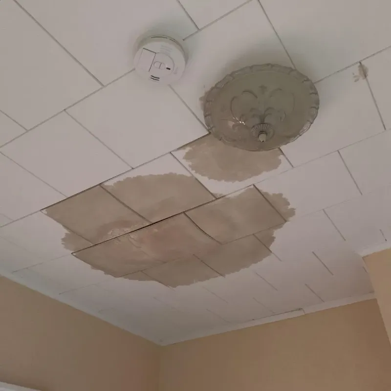 Ceiling Water Damage Repair in Bedford, IA