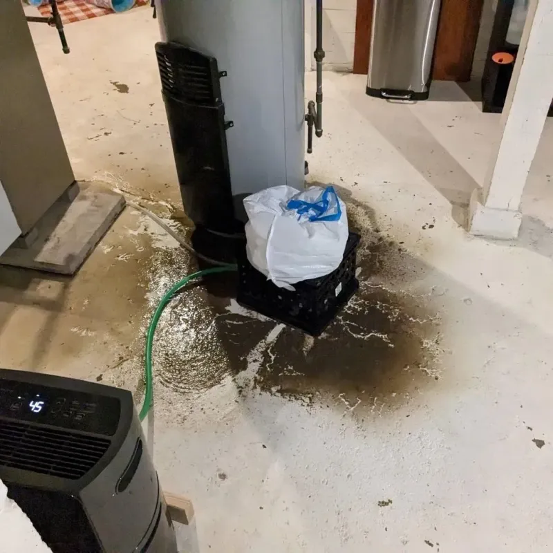 Sewage Backup Cleanup Service in Bedford, IA